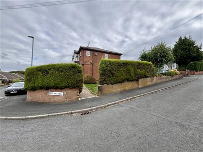 Picture 26